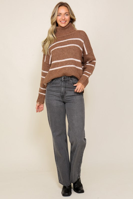 Turtle Neck Pinstripe Sweater Sweater