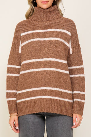 Turtle Neck Pinstripe Sweater Sweater