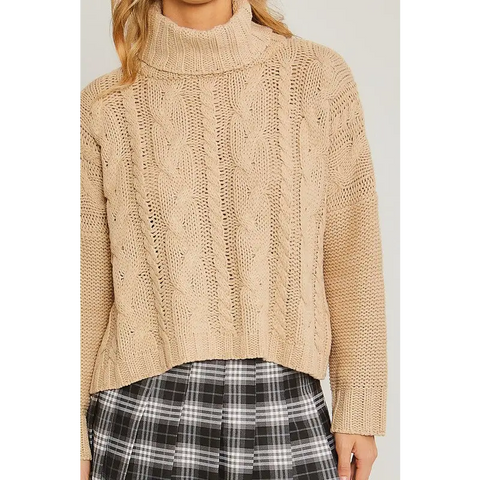 Turtle Neck Sweater Sweater