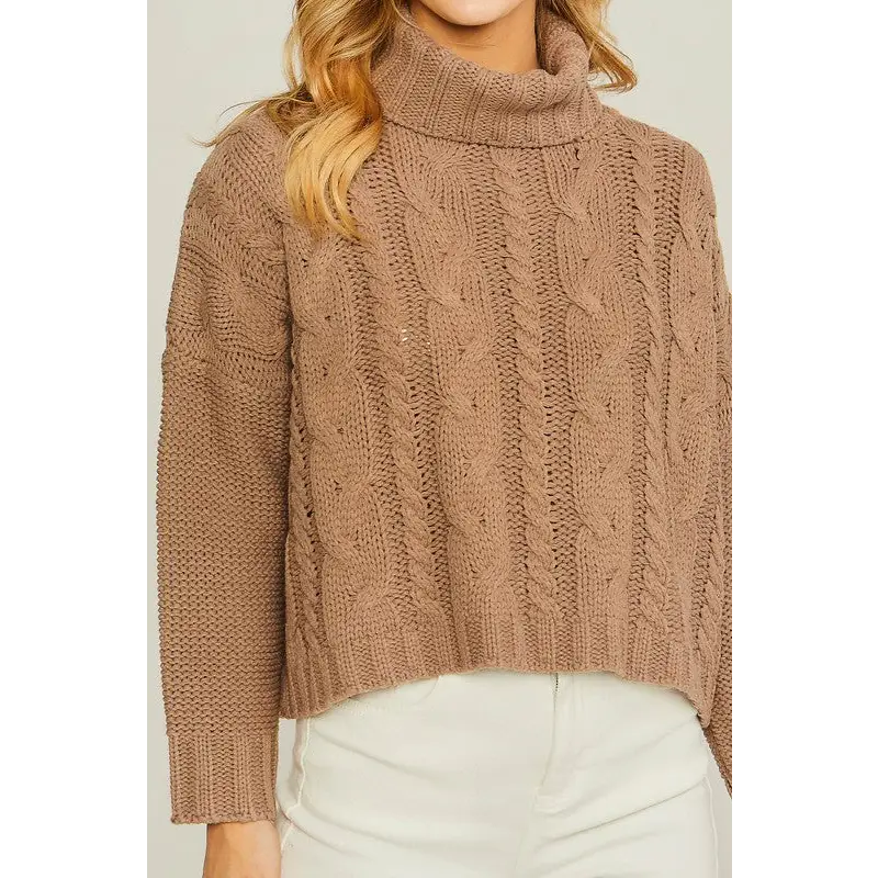 Turtle Neck Sweater Sweater