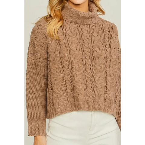 Turtle Neck Sweater Sweater