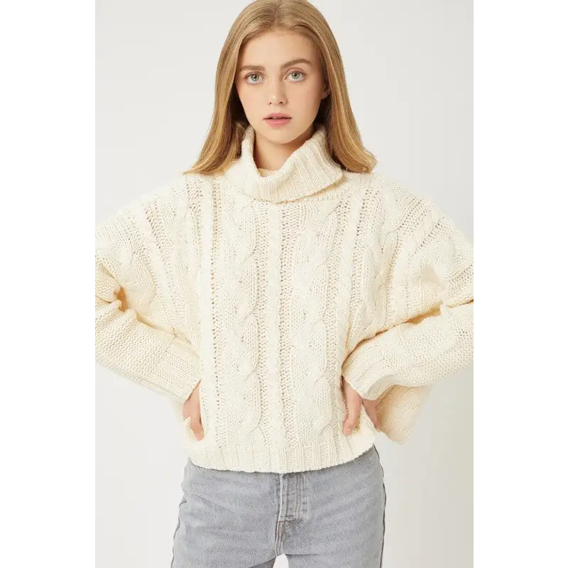 Turtle Neck Sweater IVORY Sweater