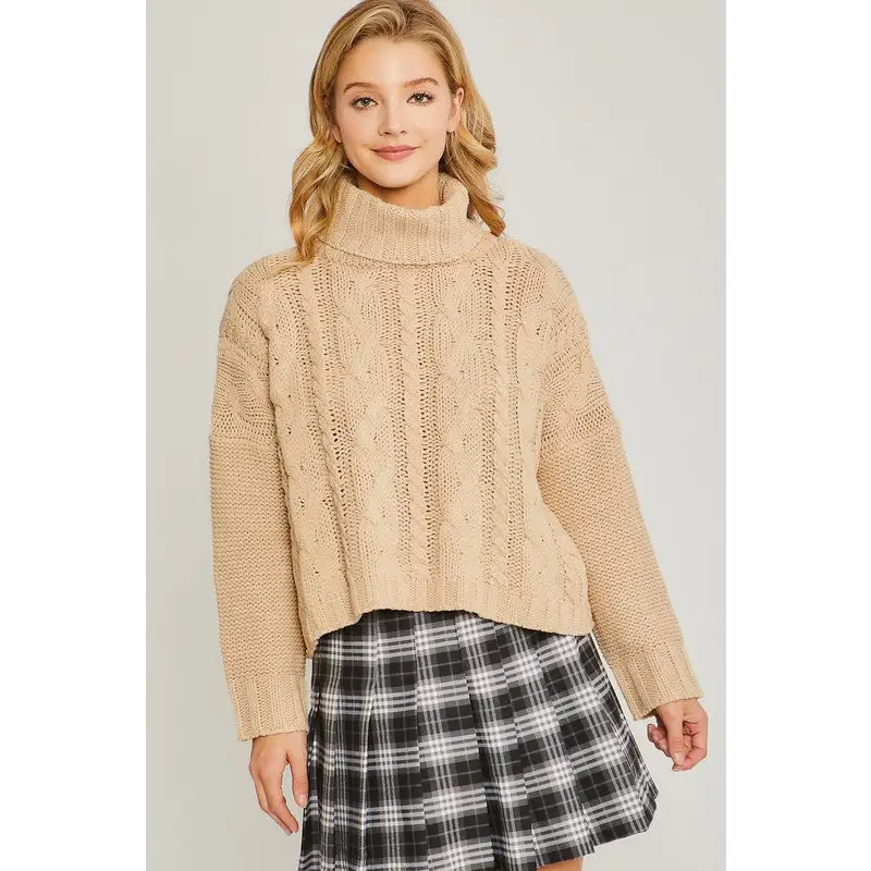 Turtle Neck Sweater OATMEAL Sweater