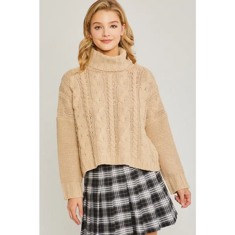 Turtle Neck Sweater OATMEAL Sweater